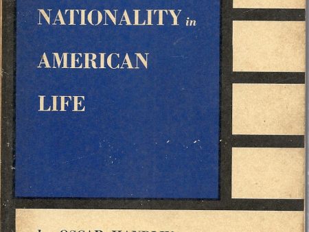 Race and Nationality in American Life Online